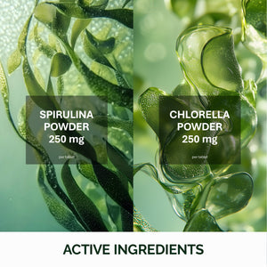 Spirulina a Chlorella