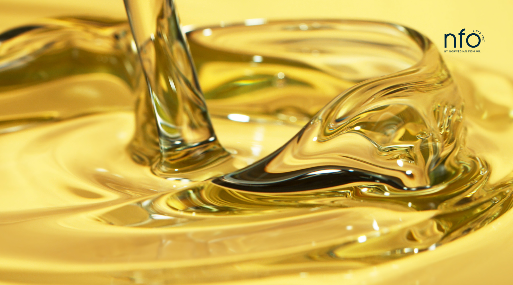 Fish Oil Essentials: Triglycerides vs. Ethyl Esters