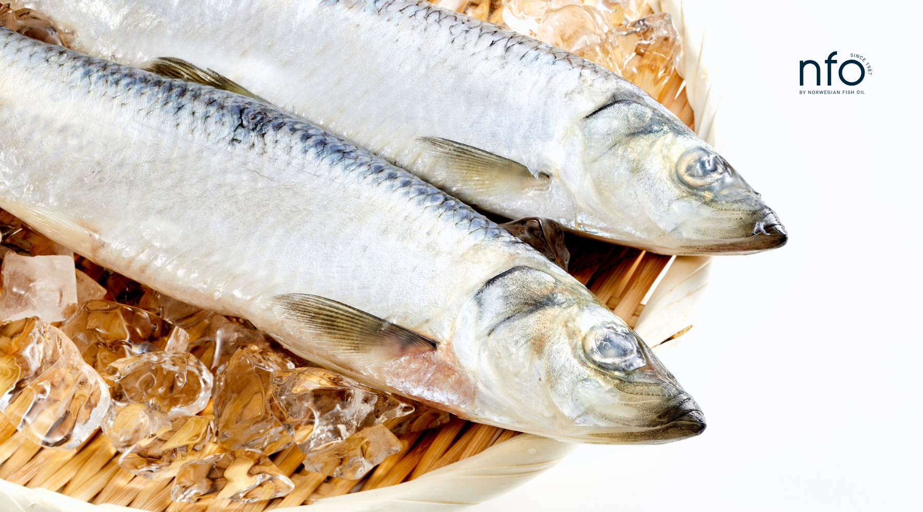 TOTOX A-Z: the importance of being fresh