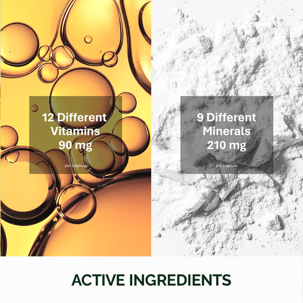 Multi-Vit